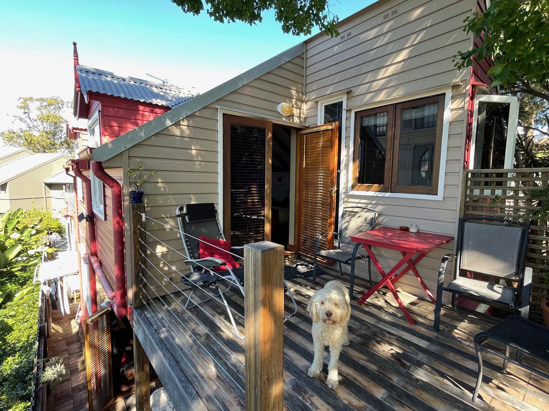 Private Outside Deck Dog